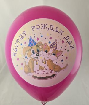 Balloons with full-color logo for birthday "Dog and Kitten" mixed colors - 5 pcs.