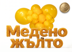 Organic Arch Kit "Honey Yellow" - 300 Balloons for Only 13 Euros (Basic)
